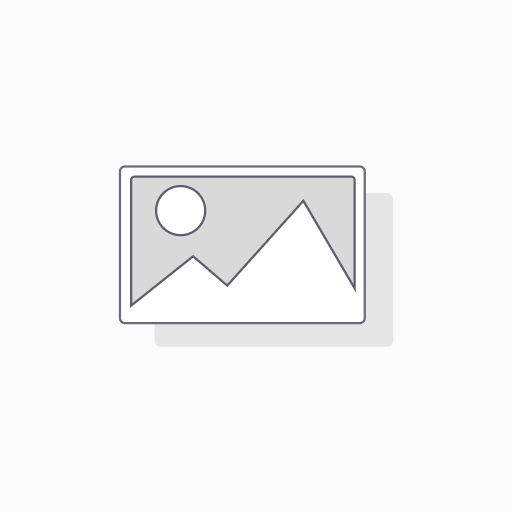 VSRNMS3